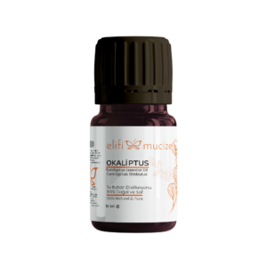 Okaliptus Yağı 10 ML